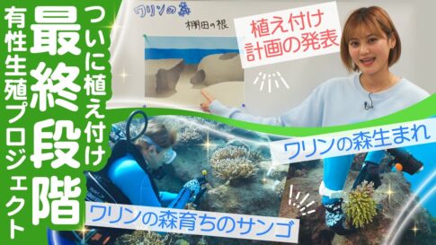 【動画】サンゴ保全の旅！澪花ちゃんの挑戦